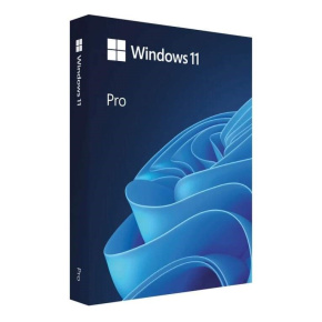 Windows Pro 1164-bit Czech USB