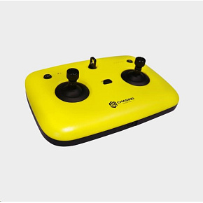 Chasing Dory Remote Controller