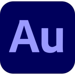 Audition for teams MP ML Government 1 User, 12 Months, Level 2, 10 - 49 Lic