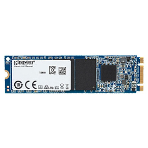 Kingston SSD Industrial i-Temp 256GB SATA M.2 2280 (R:550, W:500MB/s)