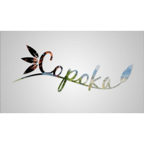 Copoka (PC) klíč Steam