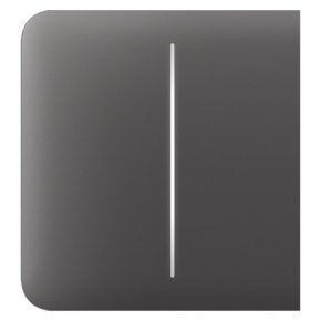 Ajax  SideButton (2-gang) - Boční dvou tlačítko, šedá