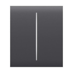 Ajax  CenterButton (2-gang) - Středové dvou tlačítko, grafitová