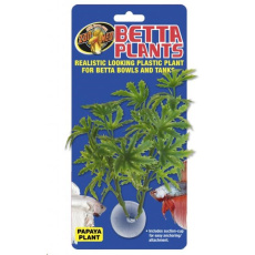 Rostl.akv.ZMD Betta Plant Papaya