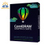 CorelDRAW Graphics Suite Education 365 dní obnovení pronájmu licence (51-250) (Windows/MAC)