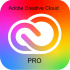 Adobe Creative Cloud Pro for teams MP ML (+CZ) Government 1 User, 12 Months, Level 1, 1 - 9 Lic